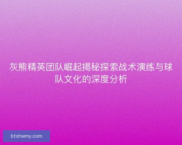 灰熊精英团队崛起揭秘探索战术演练与球队文化的深度分析